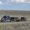 CIMG8353 - Trucks