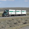 CIMG8351 - Trucks