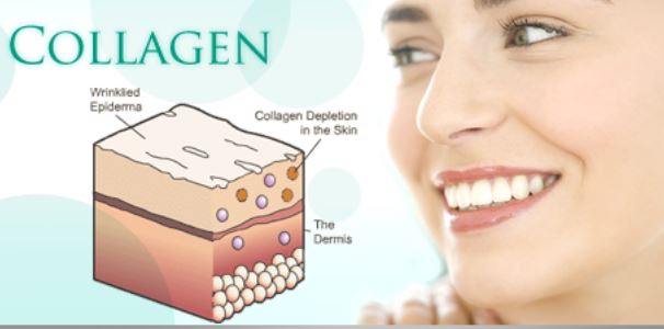 "best collagen supplements" "best collagen supplements"