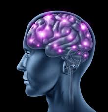 https://brainfireadvice Picture Box