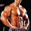 bodybuilder-762989-240x185 (1) - http://docterzreviews
