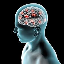 https://brainfireadvice Picture Box