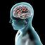 https://brainfireadvice - Picture Box