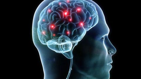 Synapse in brain homepage http://www.tripforgoodhealth.com/focus-zx1/