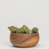 Cannabis Dispensary Oregon ... - Electric Lettuce SouthWest ...