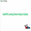 leaking shower - SealRITE Leaking Shower Rep...