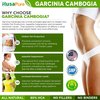 Healthy Garcinia Cambogia P... - https://healthsupplementzone