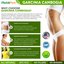 Healthy Garcinia Cambogia P... - https://healthsupplementzone.com/healthy-garcinia-cambogia-pro/