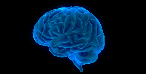 preview-image brain Brain 360
