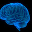 preview-image brain - Brain 360