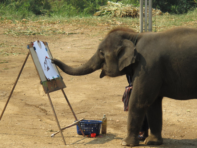 Elephant Encounter Thailand Elephant Encounter Thailand
