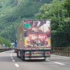 Gardasee 2014 (344) - LKW-Werbung, Heckansichten