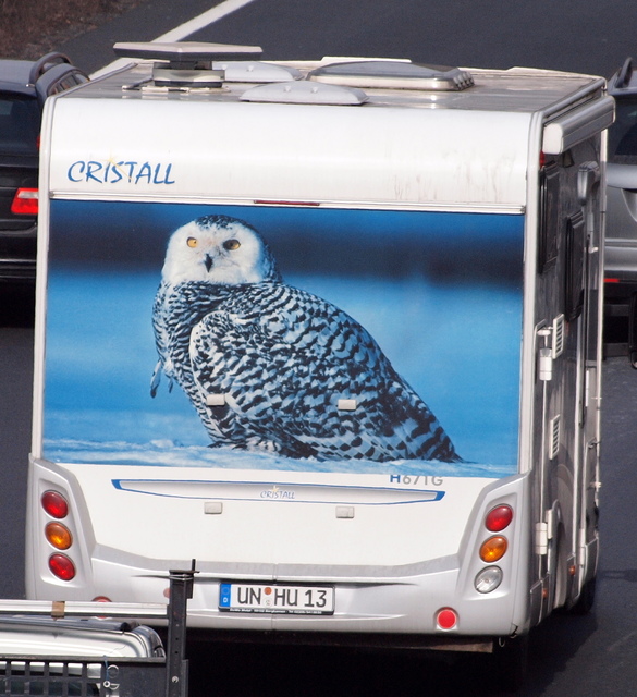 Heckansichten 02.03.12 (301) LKW-Werbung, Heckansichten