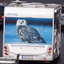 Heckansichten 02.03.12 (301) - LKW-Werbung, Heckansichten