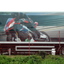 P7210003 - LKW-Werbung, Heckansichten
