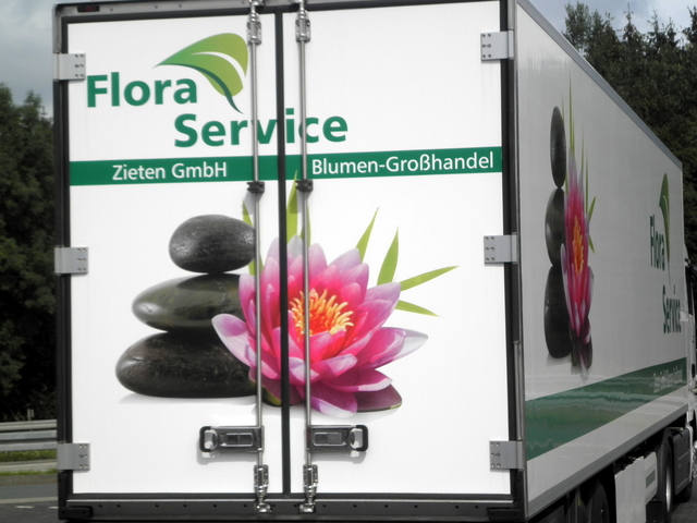 P7260128 LKW-Werbung, Heckansichten