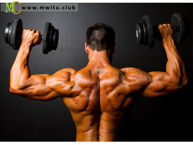 https://www.nutritionfit Picture Box