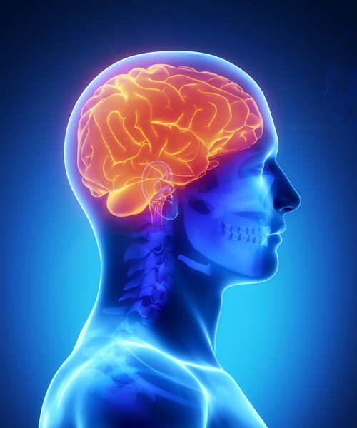 https://brainfireadvice Picture Box
