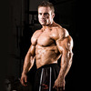 http://www.tripforgoodhealth.com/alpha-pro-muscle/