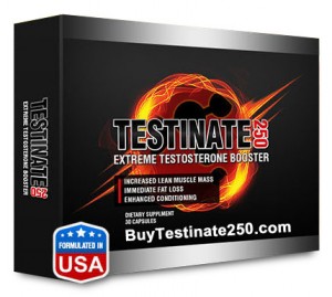 testinate-250-supplement-300x269 Testo Black XT