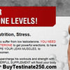 testinate250-testosterone-b... - Testo Black XT