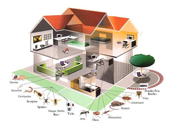 5 A Hi Tech Pest Service