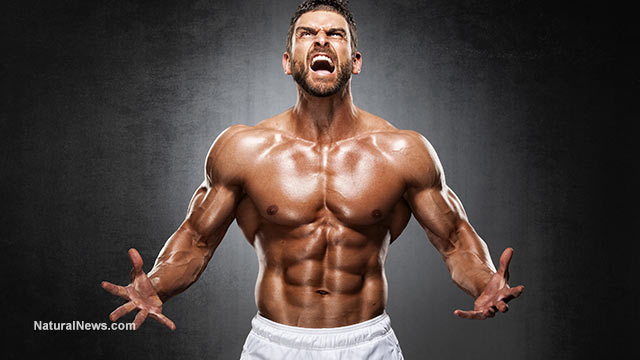 Body-Building-Muscles-Power-Scream http://www.evergreenyouth.com/testro-t3/
