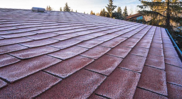 shingle Commercial Roofing Services