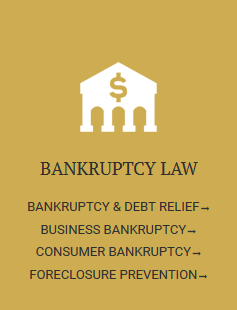 Bankruptcy Law Bankruptcy Law and Family Law