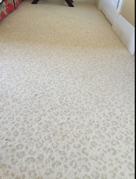 carpet idea G&S Flooring Design  LLC