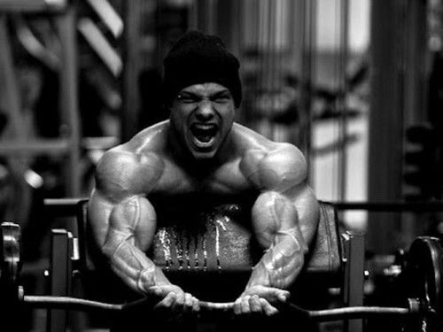 https://musclebuildingbuy Picture Box