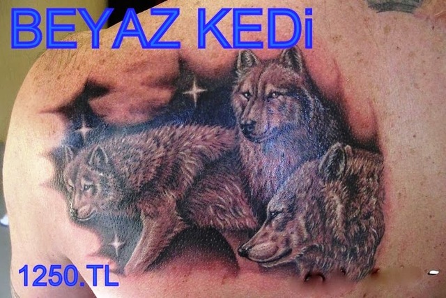 Beyaz Kedi Sanat DÃ¶vme & Piercing Beyaz Kedi Sanat DÃ¶vme & Piercing