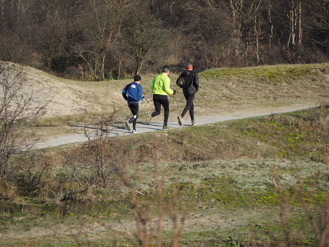 P1070497 Halve van Westvoorne 7-1-2018