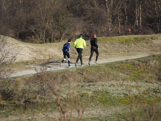 P1070498 Halve van Westvoorne 7-1-2018