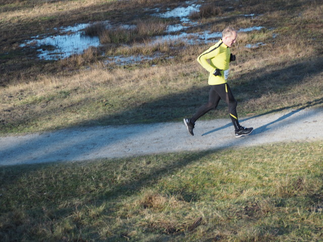 P1070533 Halve van Westvoorne 7-1-2018