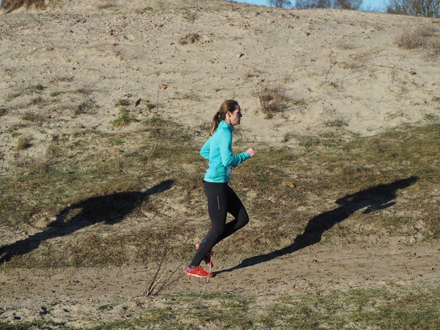 P1070568 Halve van Westvoorne 7-1-2018