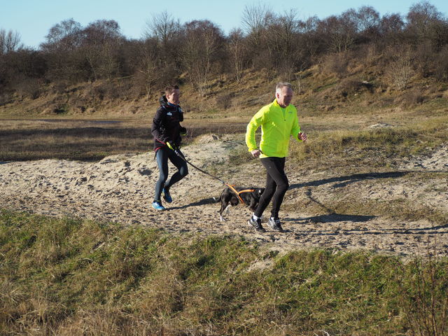 P1070570 Halve van Westvoorne 7-1-2018