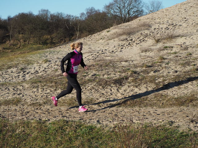 P1070578 Halve van Westvoorne 7-1-2018