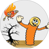 tinhuuviet An Äáº¡t PhÃ¡t