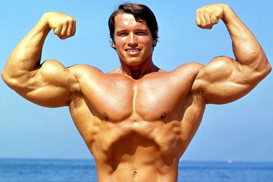 Building-Muscle Picture Box