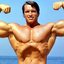 Building-Muscle - Picture Box