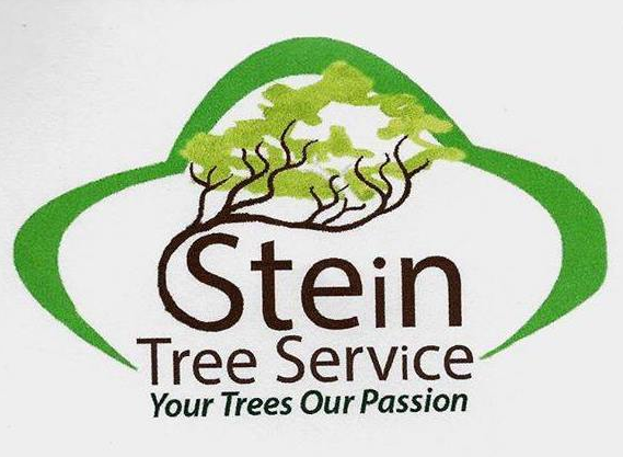 Stein Tree Service Picture Box