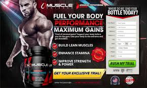 images Muscle Science Testosterone