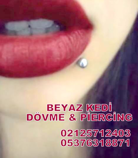 bakÄ±rkÃ¶y piercing DÃ¶vme & Piercing Salonu Beyaz Kedi