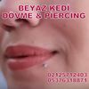 bakırköy piercing - Dövme & Piercing Salonu Bey...