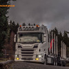 Holzhandel Pfeifer, Scania ... - Timber Warrior, Pfeifer Hol...