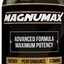Magnumax - http://www.xaddition.net/magnumax/