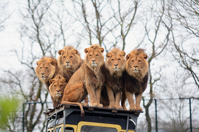 63 brabant dierentuinen