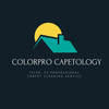 Colorpro Carpetology