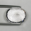 4288-DAN-B - 2015-09-25